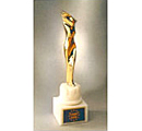 14th Europe Award for Quality-2000 (New Millennium Award)